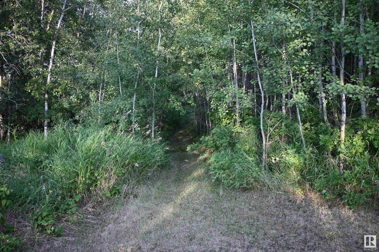 https://bt-photos.global.ssl.fastly.net/alberta/1280_boomver_1_E4447935-2.jpg