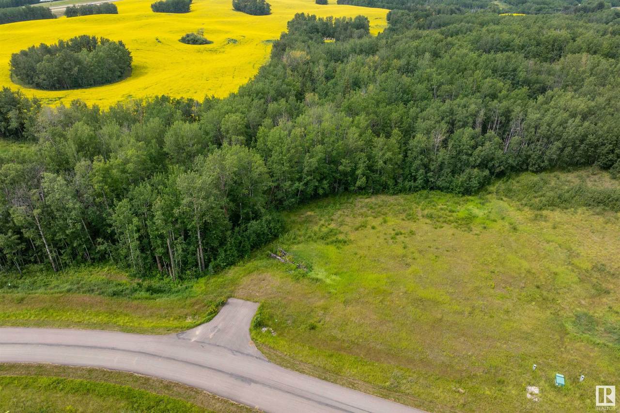 https://bt-photos.global.ssl.fastly.net/alberta/1280_boomver_1_E4450224-2.jpg
