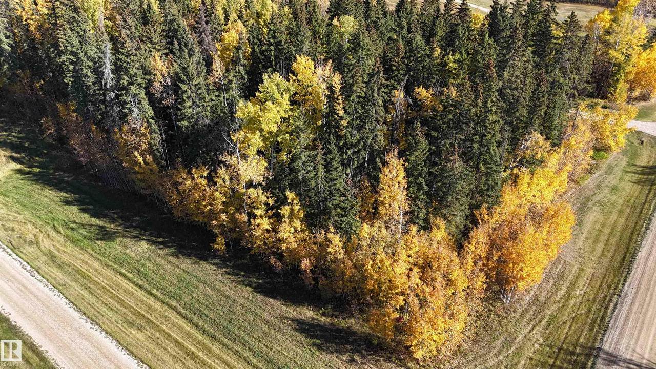 https://bt-photos.global.ssl.fastly.net/alberta/1280_boomver_1_E4460732-2.jpg