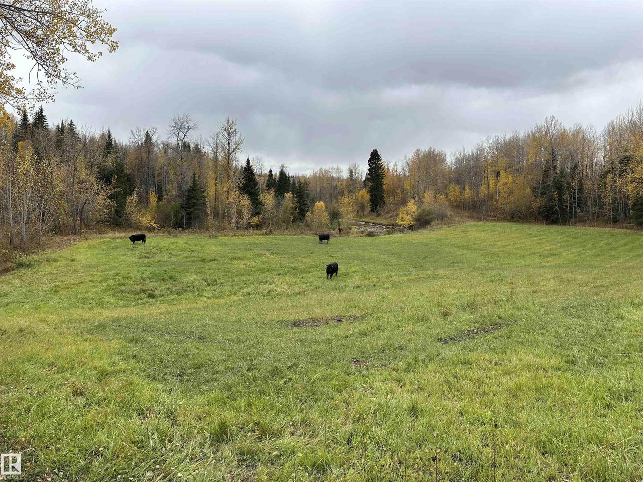 https://bt-photos.global.ssl.fastly.net/alberta/1280_boomver_1_E4461982-2.jpg