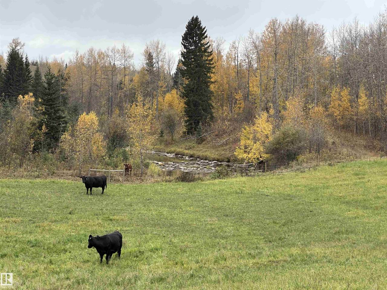 https://bt-photos.global.ssl.fastly.net/alberta/1280_boomver_1_E4461982-2.jpg