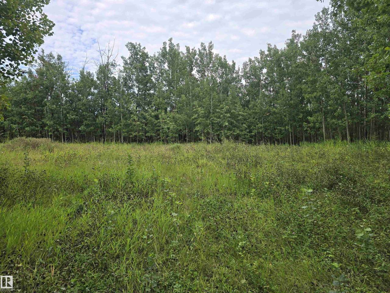 https://bt-photos.global.ssl.fastly.net/alberta/1280_boomver_1_E4477369-2.jpg