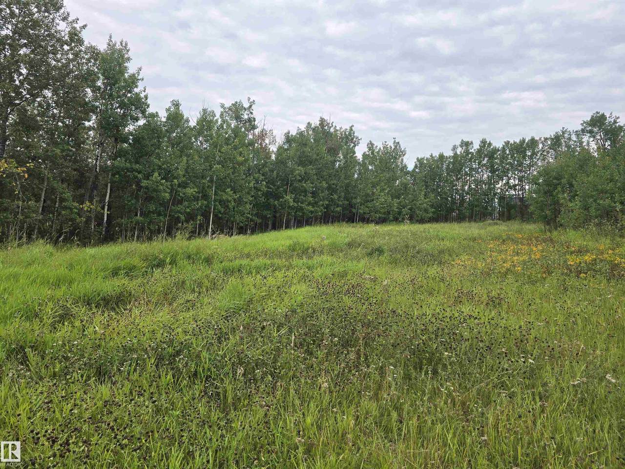 https://bt-photos.global.ssl.fastly.net/alberta/1280_boomver_1_E4477371-2.jpg
