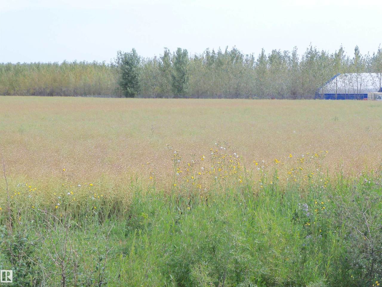 https://bt-photos.global.ssl.fastly.net/alberta/1280_boomver_1_E4479027-2.jpg