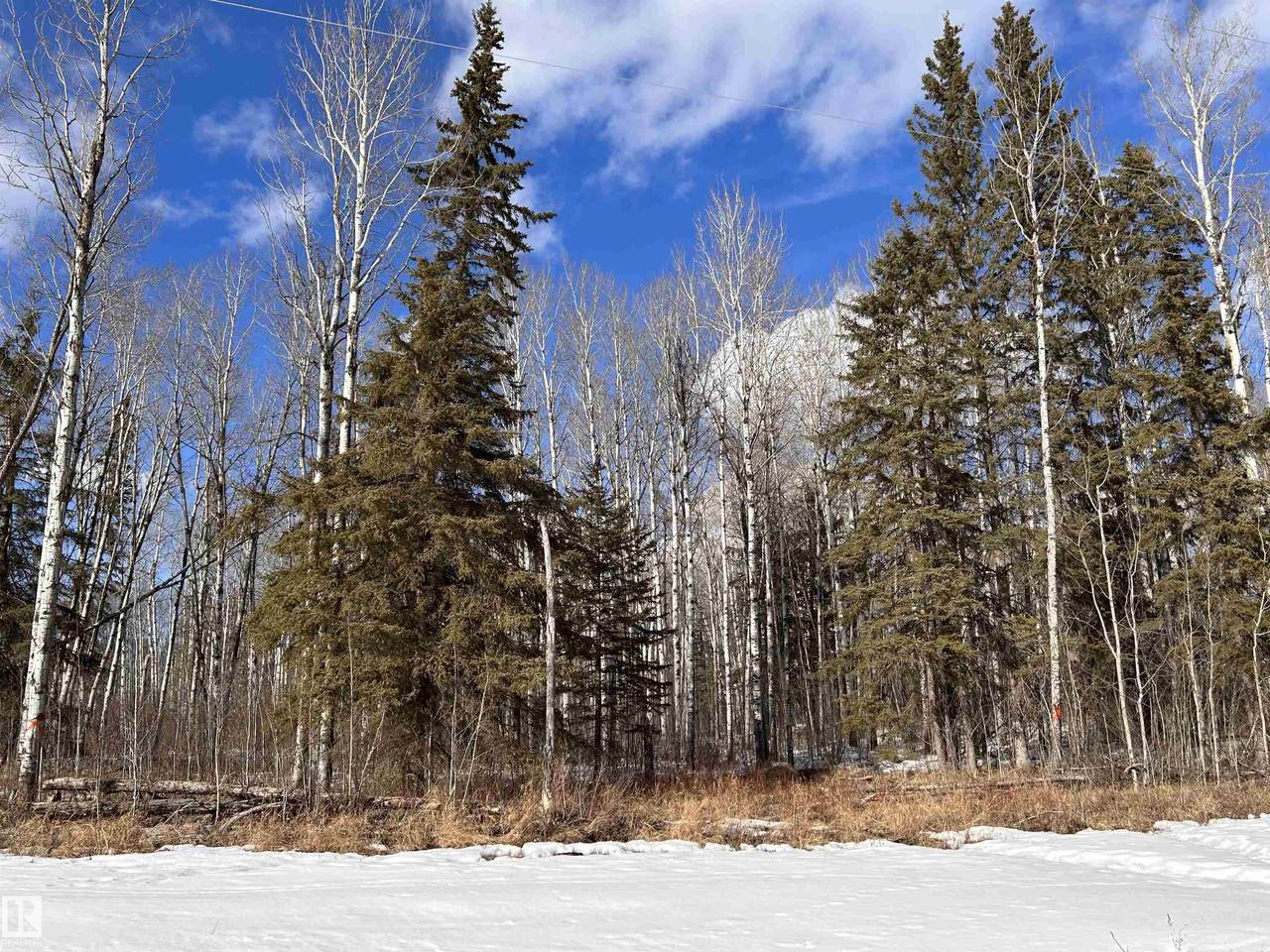 https://bt-photos.global.ssl.fastly.net/alberta/1280_boomver_1_E4481109-2.jpg