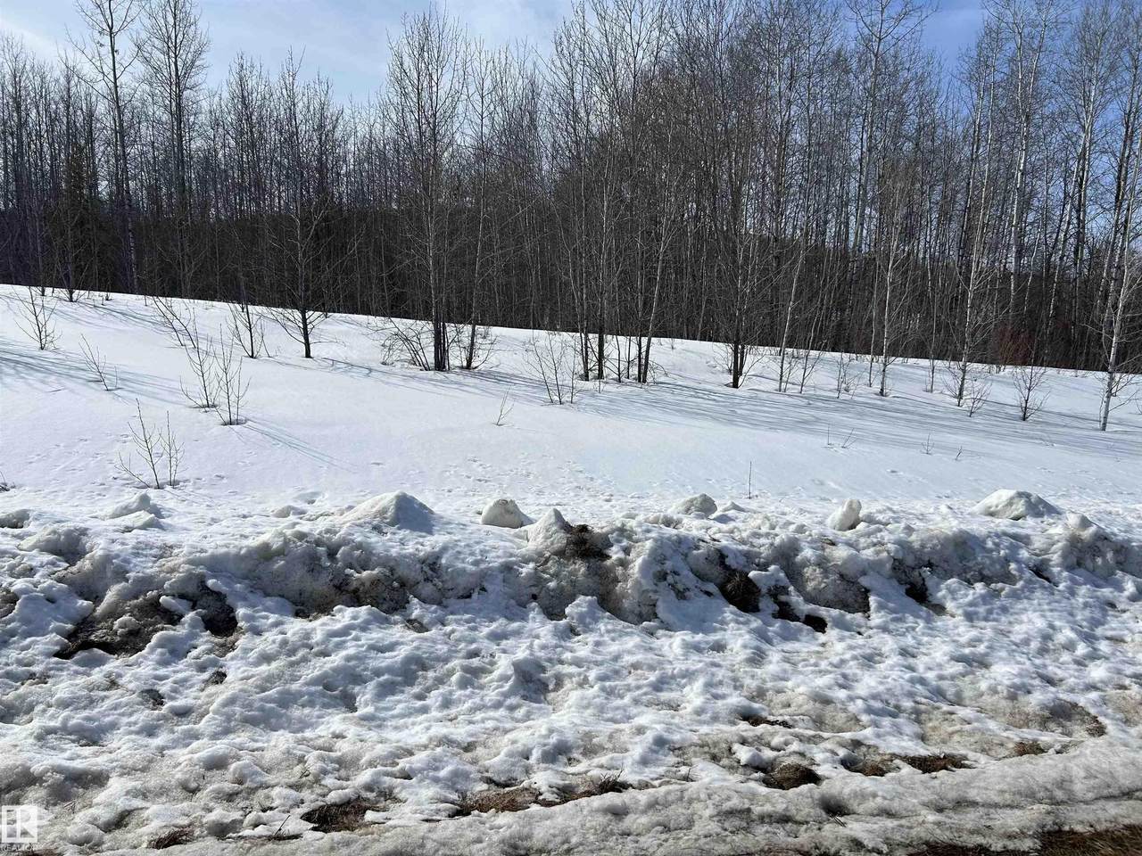 NE 23 62 1 W4 411A Road - Photo 1