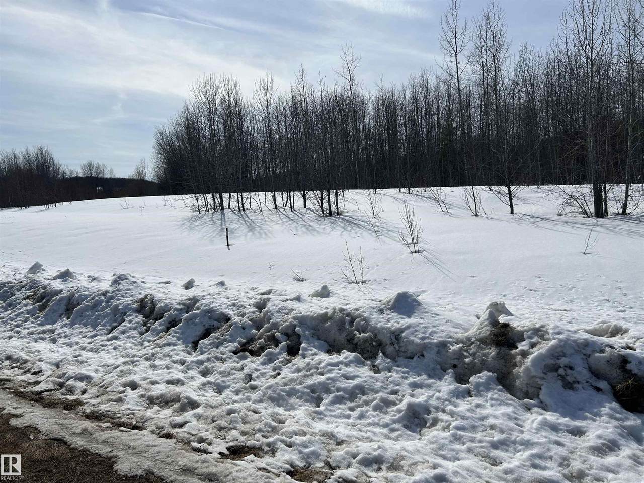 https://bt-photos.global.ssl.fastly.net/alberta/1280_boomver_1_E4481875-2.jpg