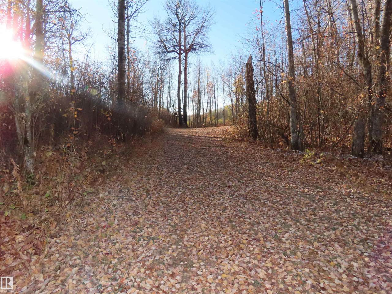 54425 Ste Anne Trail - Photo 1