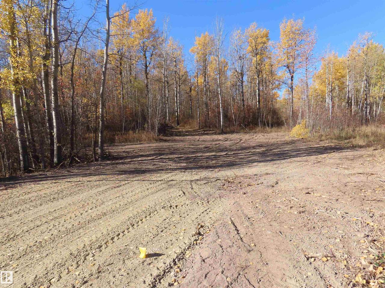 https://bt-photos.global.ssl.fastly.net/alberta/1280_boomver_1_E4483553-2.jpg
