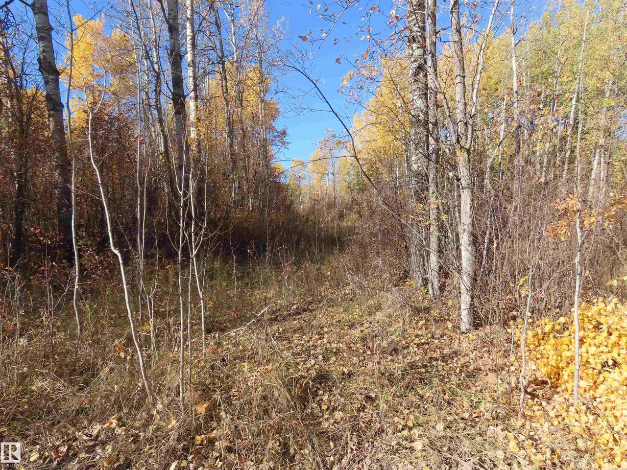 https://bt-photos.global.ssl.fastly.net/alberta/1280_boomver_1_E4483553-2.jpg
