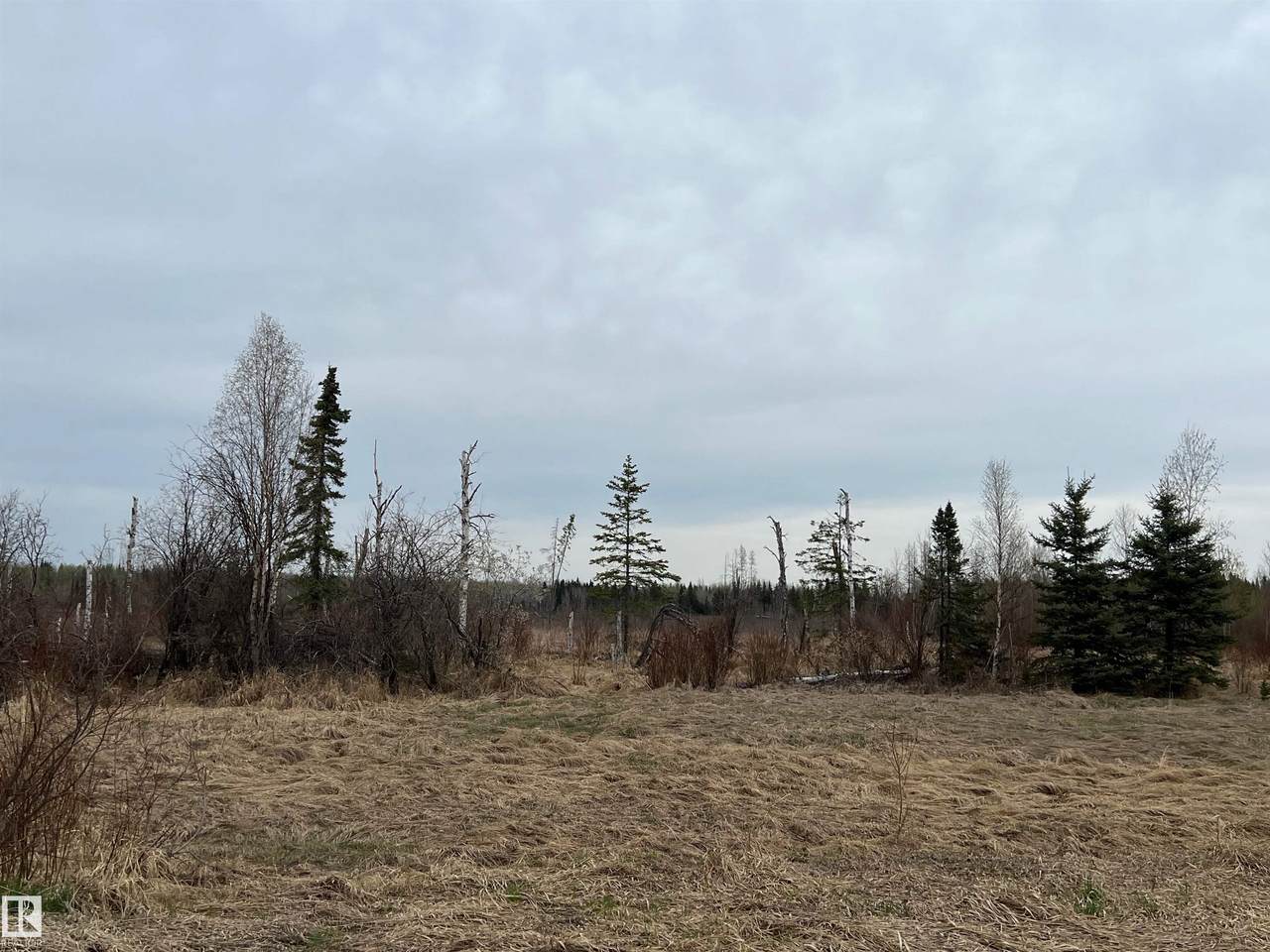 https://bt-photos.global.ssl.fastly.net/alberta/1280_boomver_1_E4484555-2.jpg
