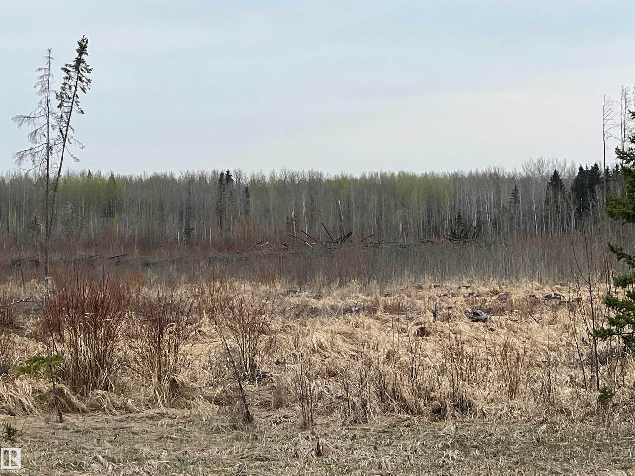 https://bt-photos.global.ssl.fastly.net/alberta/1280_boomver_1_E4484555-2.jpg