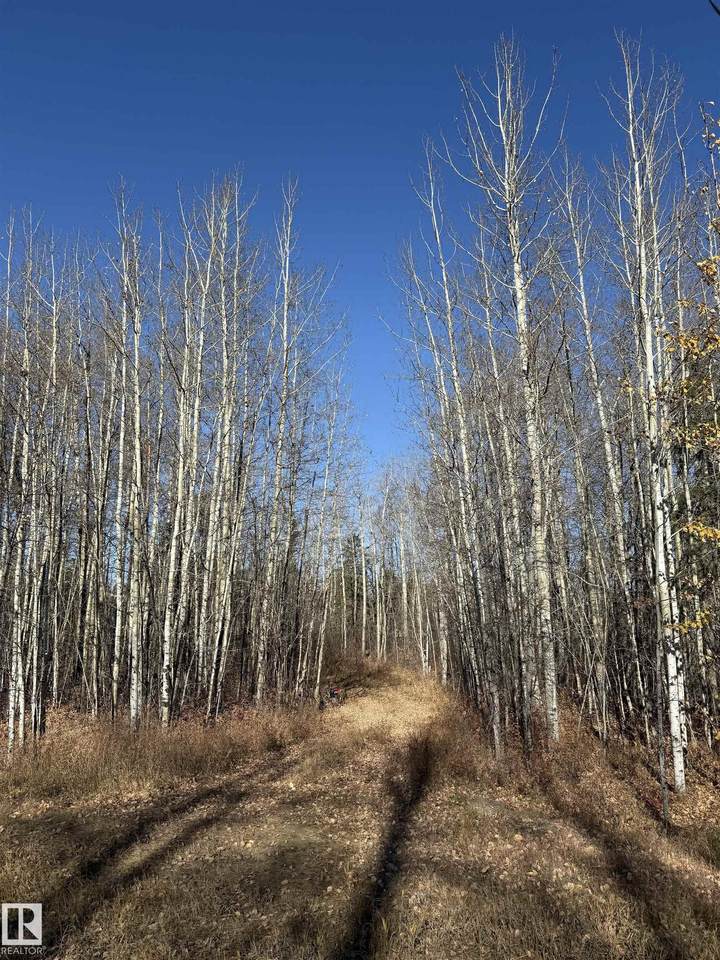 https://bt-photos.global.ssl.fastly.net/alberta/1280_boomver_1_E4485414-2.jpg