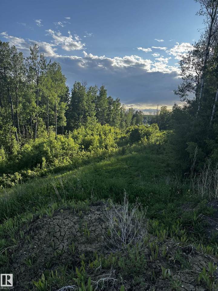 https://bt-photos.global.ssl.fastly.net/alberta/1280_boomver_1_E4486250-2.jpg