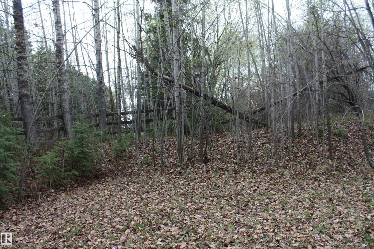 https://bt-photos.global.ssl.fastly.net/alberta/1280_boomver_1_E4486431-2.jpg