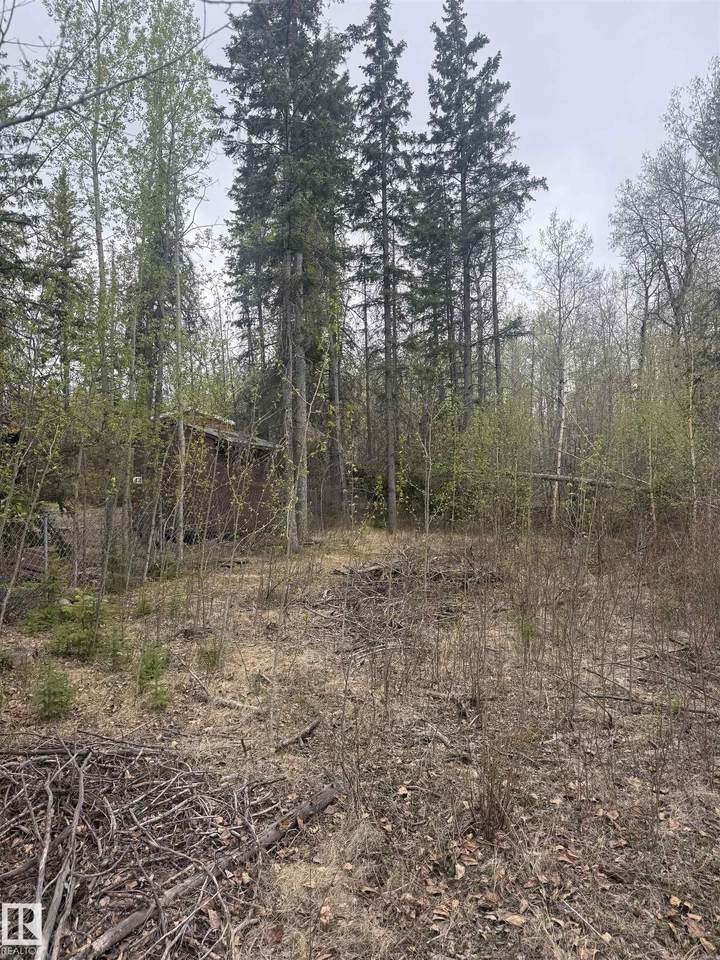 https://bt-photos.global.ssl.fastly.net/alberta/1280_boomver_1_E4488218-2.jpg