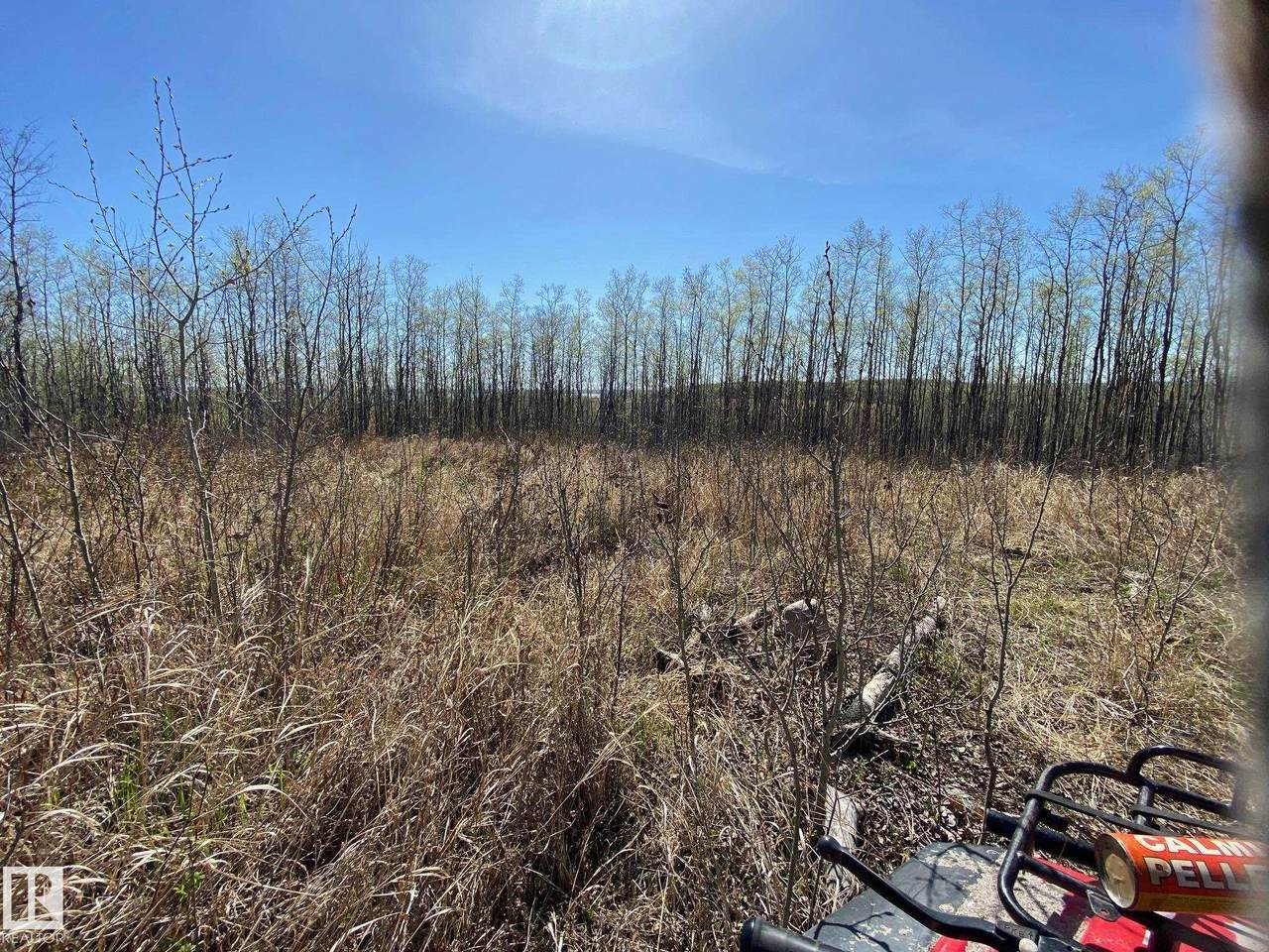 https://bt-photos.global.ssl.fastly.net/alberta/1280_boomver_1_E4488320-2.jpg