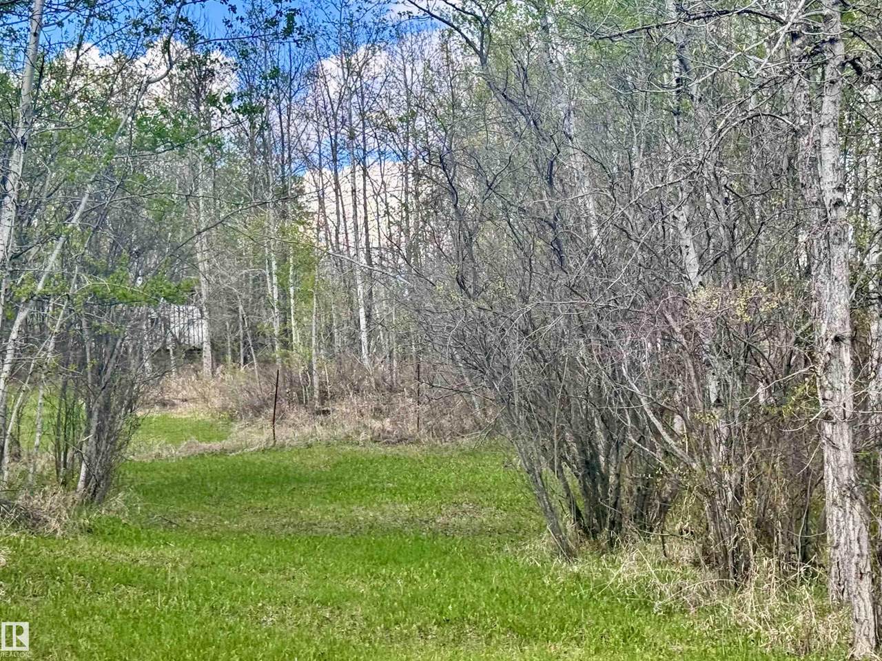https://bt-photos.global.ssl.fastly.net/alberta/1280_boomver_1_E4489702-2.jpg