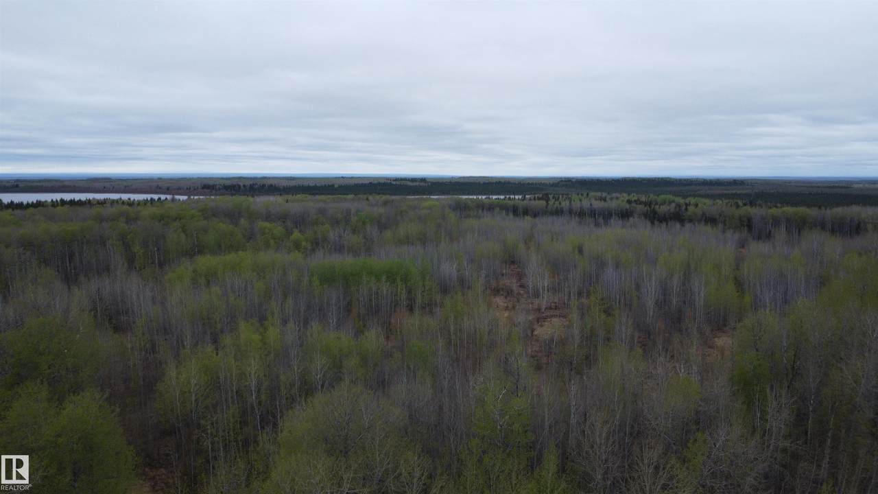 https://bt-photos.global.ssl.fastly.net/alberta/1280_boomver_1_E4489986-2.jpg