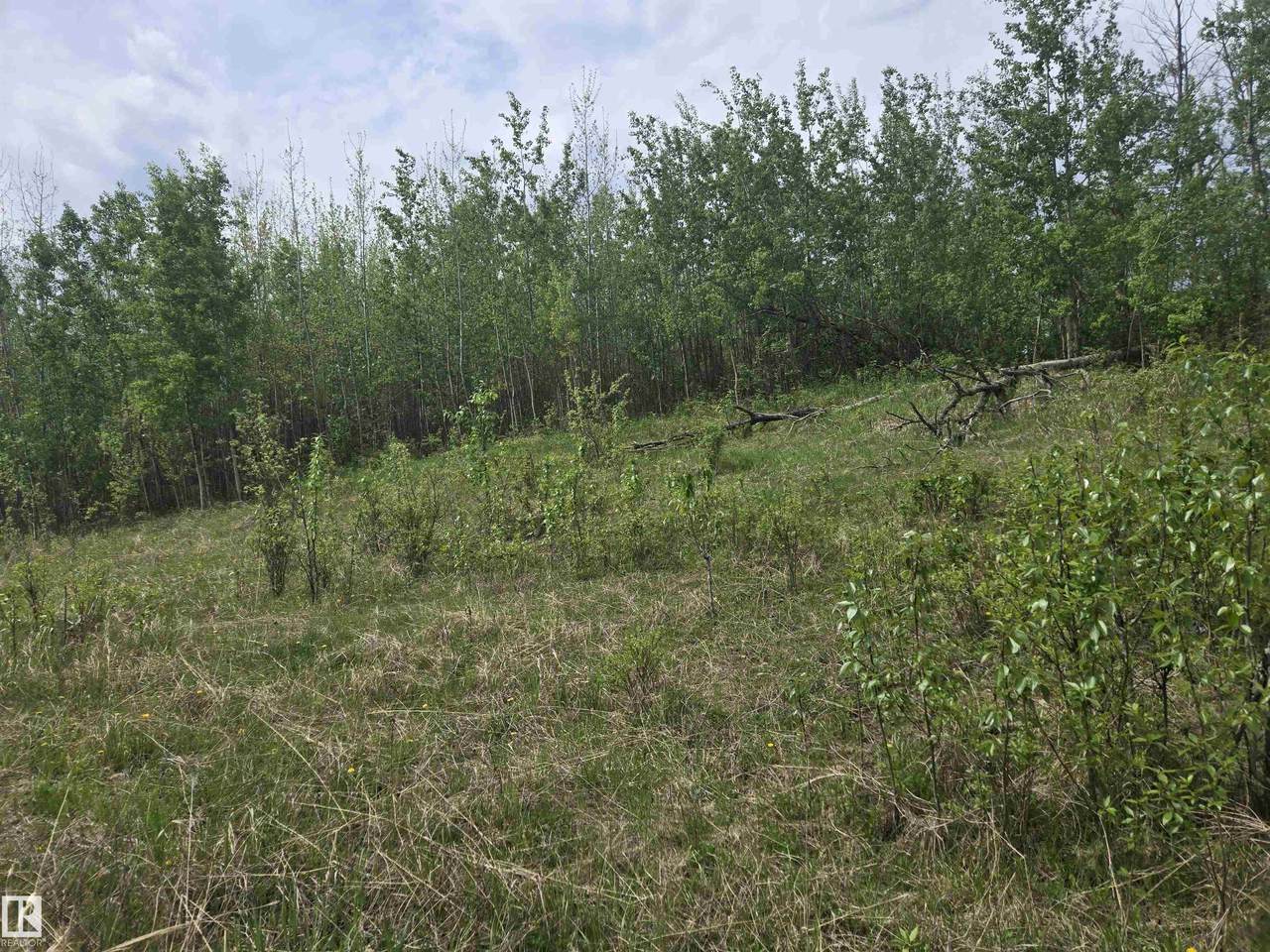 https://bt-photos.global.ssl.fastly.net/alberta/orig_boomver_1_E4490010-2.jpg