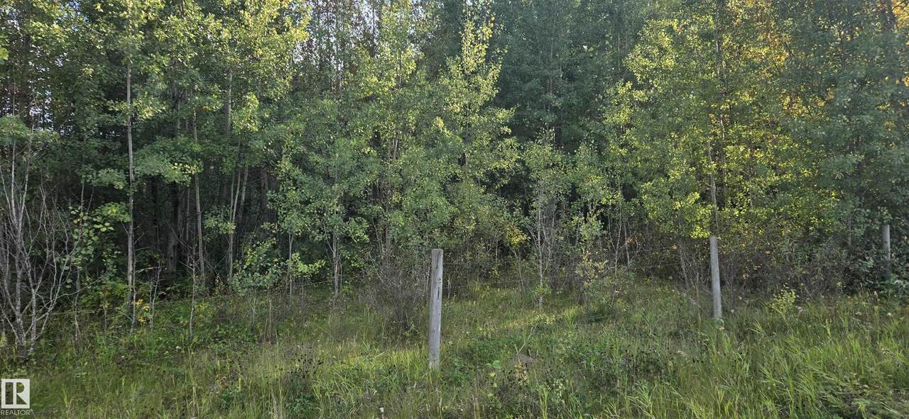https://bt-photos.global.ssl.fastly.net/alberta/1280_boomver_1_E4490032-2.jpg