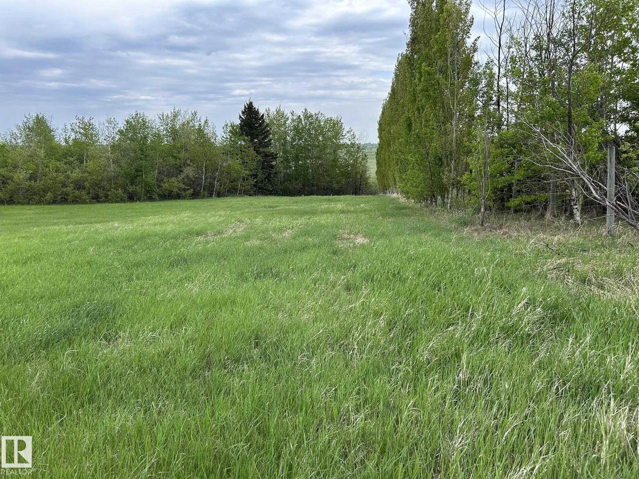 57517 Lily Lake Road - Photo 1