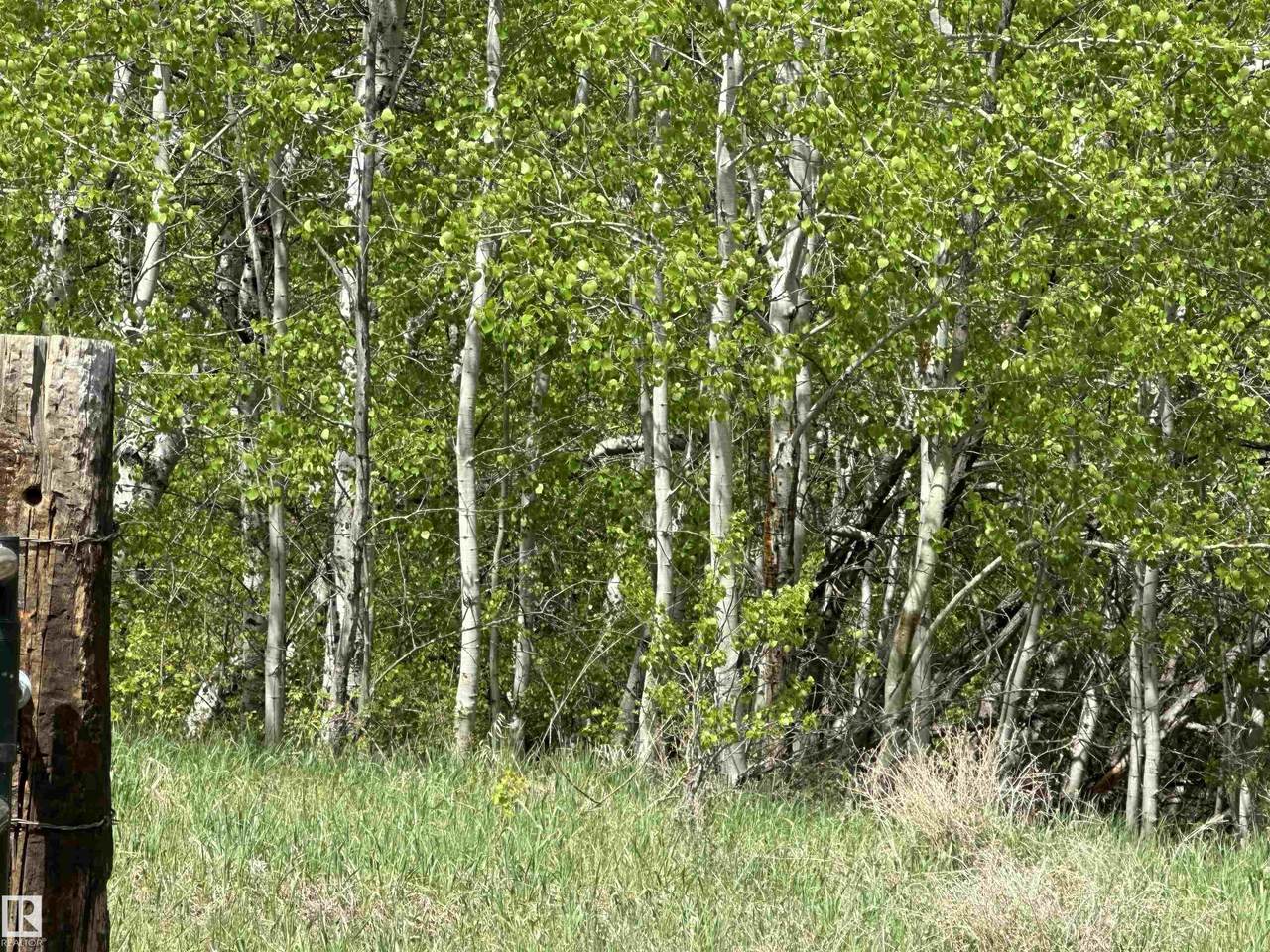 https://bt-photos.global.ssl.fastly.net/alberta/1280_boomver_1_E4491001-2.jpg