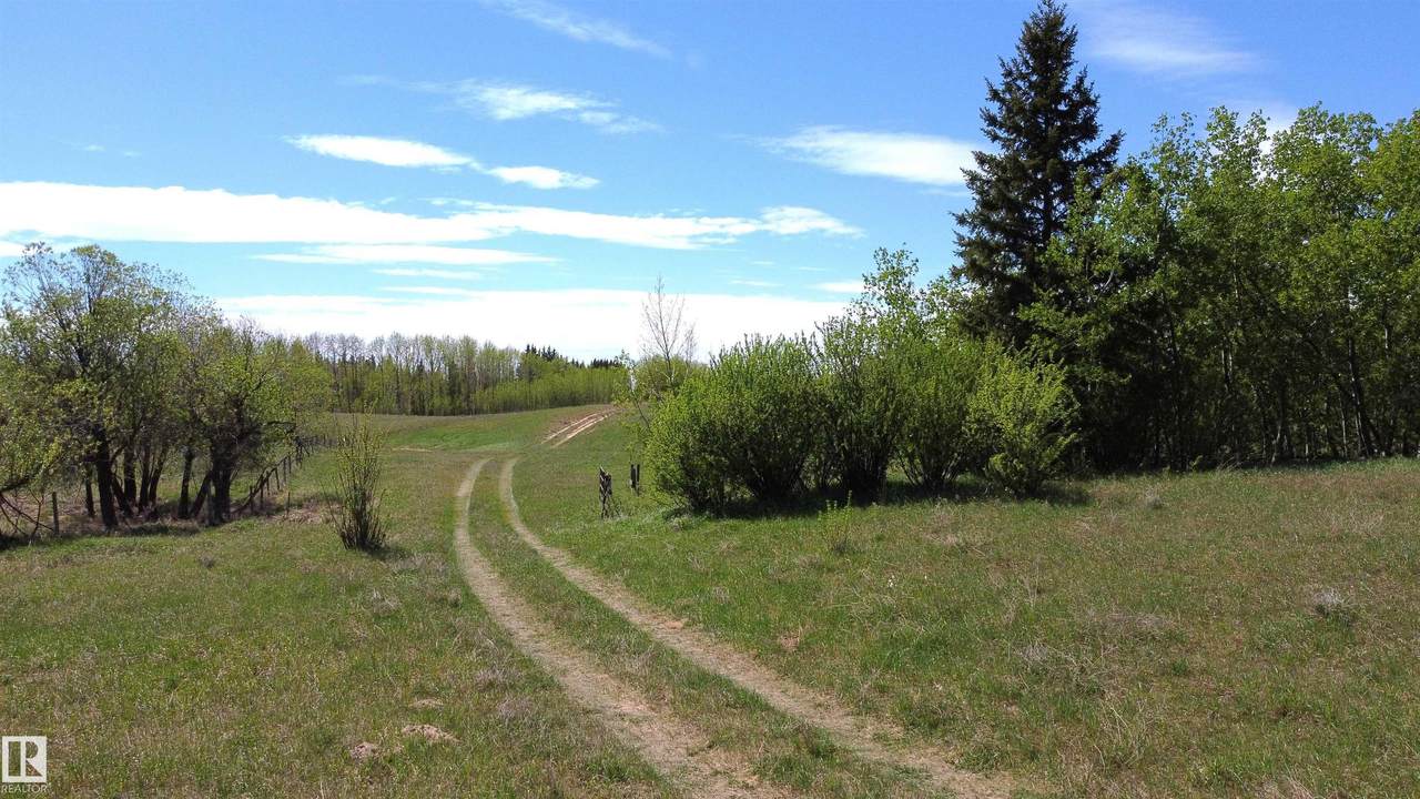 https://bt-photos.global.ssl.fastly.net/alberta/1280_boomver_1_E4491001-2.jpg