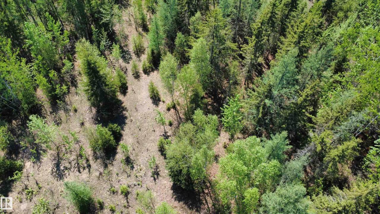 https://bt-photos.global.ssl.fastly.net/alberta/1280_boomver_1_E4491103-2.jpg