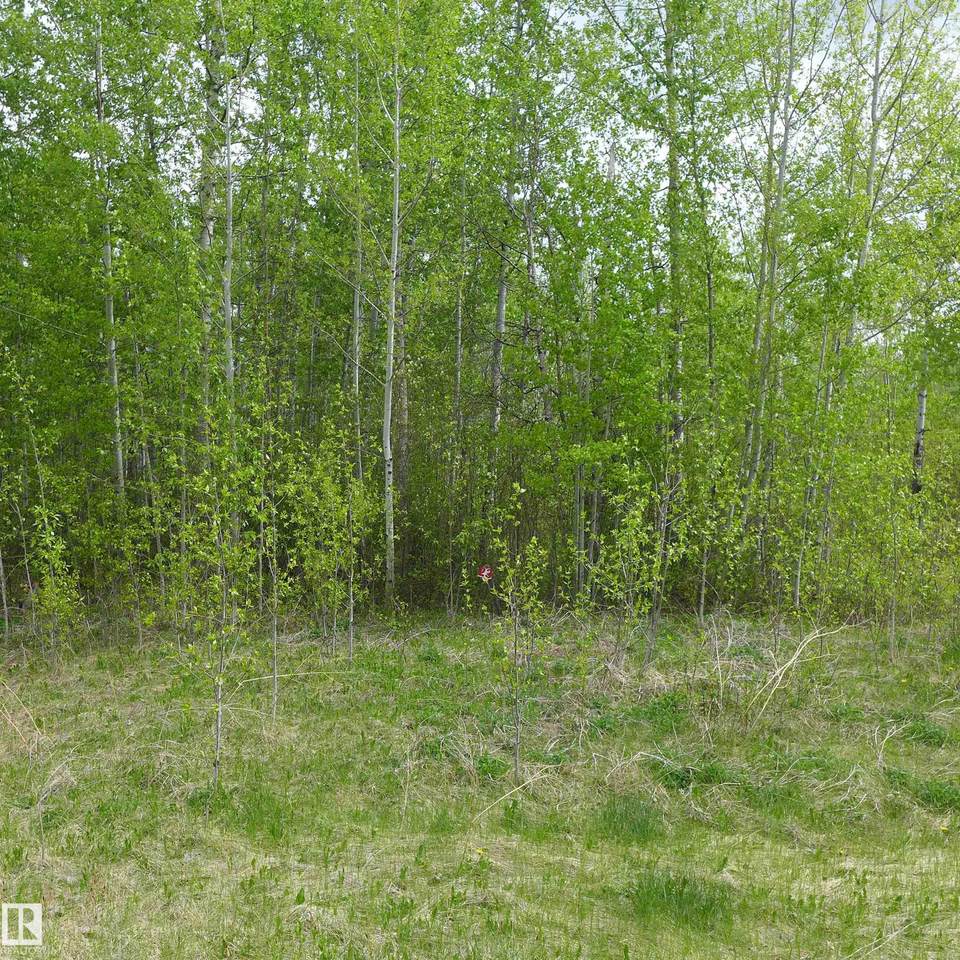 https://bt-photos.global.ssl.fastly.net/alberta/1280_boomver_1_E4492355-2.jpg
