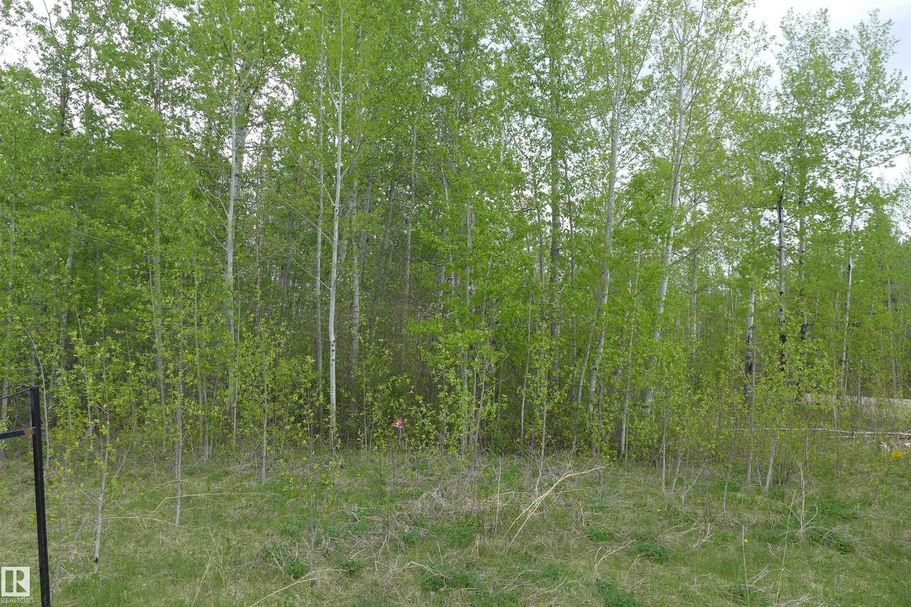 https://bt-photos.global.ssl.fastly.net/alberta/1280_boomver_1_E4492355-2.jpg