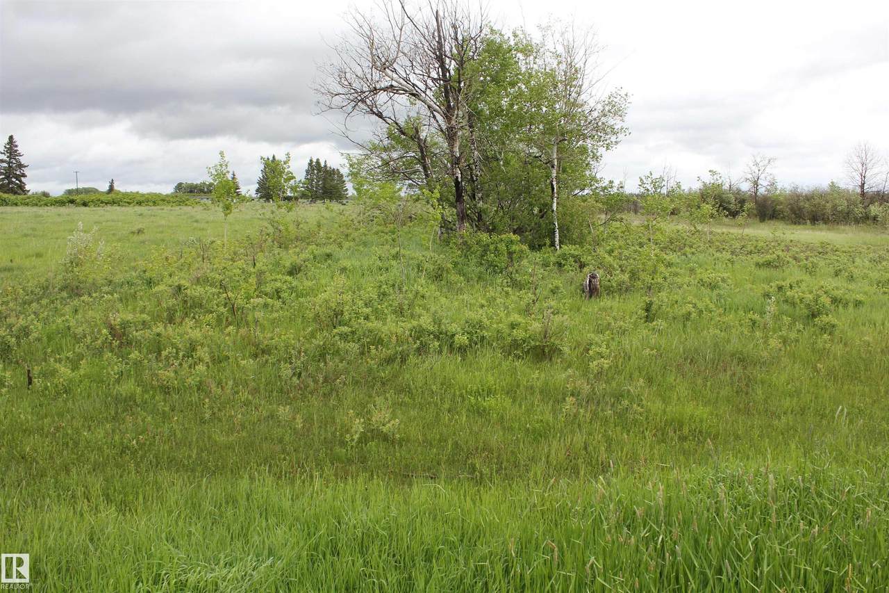 https://bt-photos.global.ssl.fastly.net/alberta/1280_boomver_1_E4492545-2.jpg