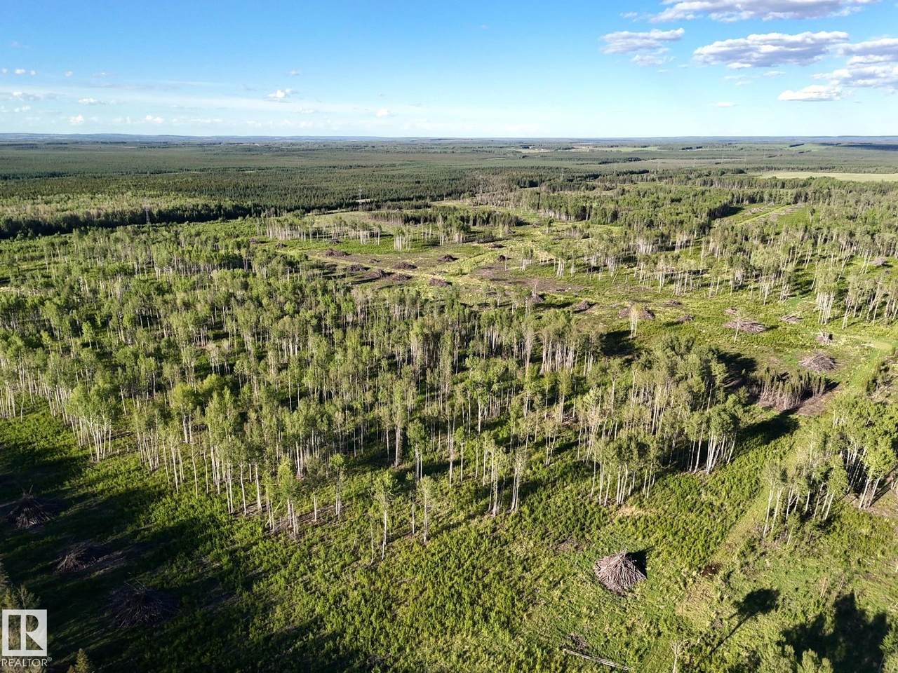 https://bt-photos.global.ssl.fastly.net/alberta/1280_boomver_1_E4492713-2.jpg