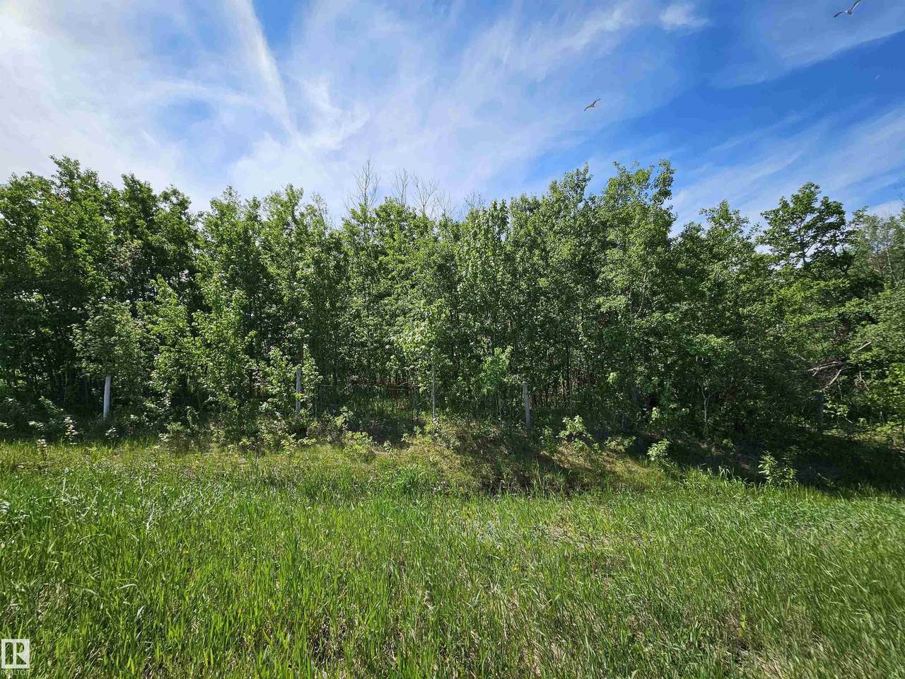 https://bt-photos.global.ssl.fastly.net/alberta/1280_boomver_1_E4492895-2.jpg