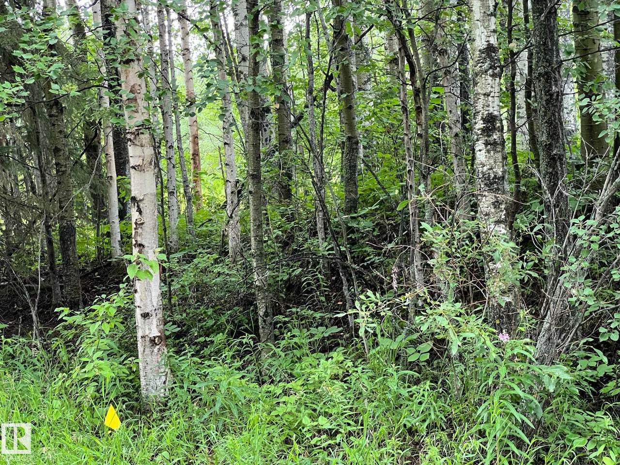 https://bt-photos.global.ssl.fastly.net/alberta/1280_boomver_1_E4495470-2.jpg