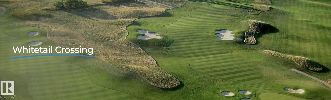 https://bt-photos.global.ssl.fastly.net/alberta/1280_boomver_1_E4496995-2.jpg