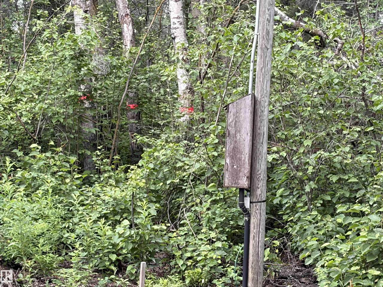 https://bt-photos.global.ssl.fastly.net/alberta/1280_boomver_1_E4497737-2.jpg