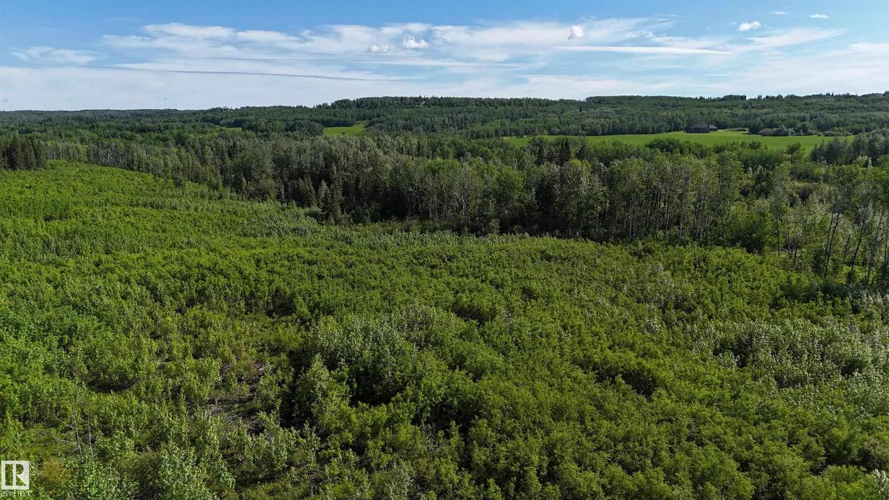 https://bt-photos.global.ssl.fastly.net/alberta/1280_boomver_1_E4498219-2.jpg