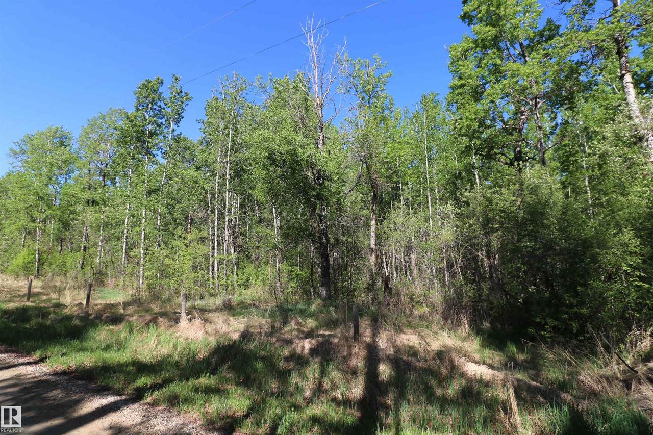 https://bt-photos.global.ssl.fastly.net/alberta/1280_boomver_1_E4499108-2.jpg