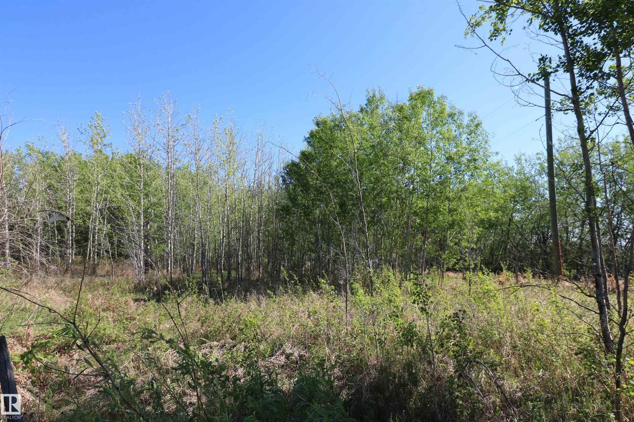 400 54411 RGE RD 40 - Photo 1