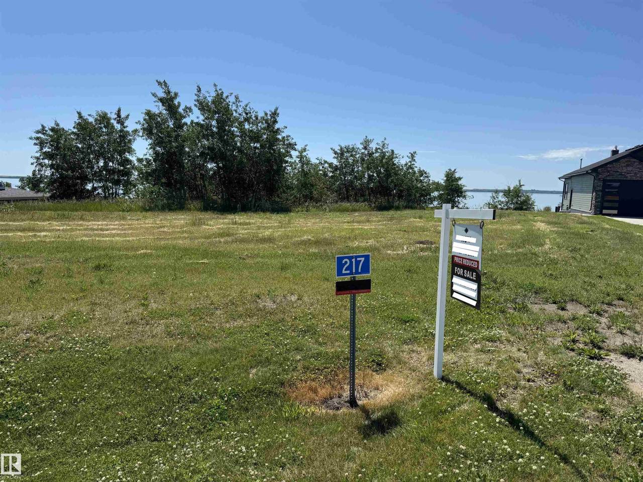 217 Lakeview Drive - Photo 1