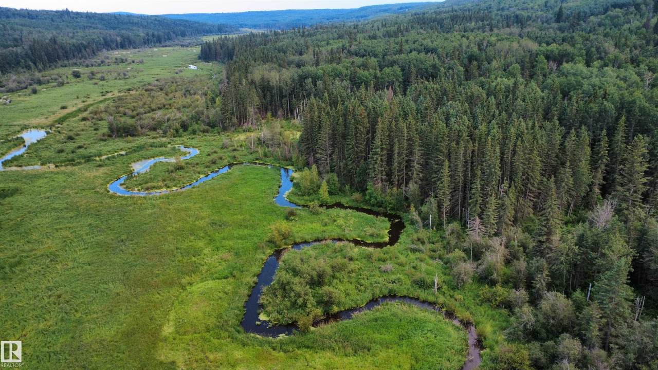 SW-36-61-19-4 (S Of Long Lake) - Photo 1