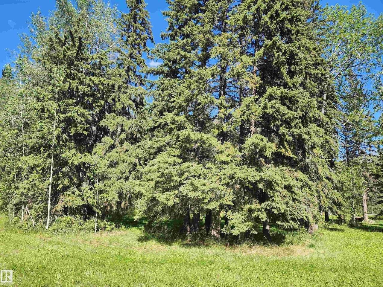https://bt-photos.global.ssl.fastly.net/alberta/1280_boomver_1_E4502855-2.jpg