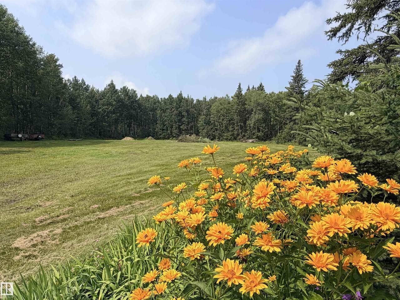 3306 Rail Grade Road - Photo 1