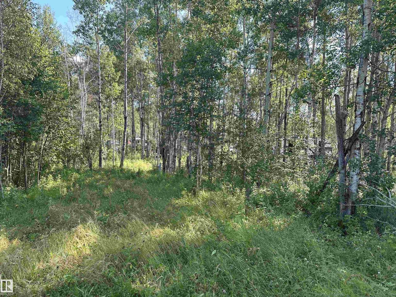 https://bt-photos.global.ssl.fastly.net/alberta/1280_boomver_1_E4503150-2.jpg