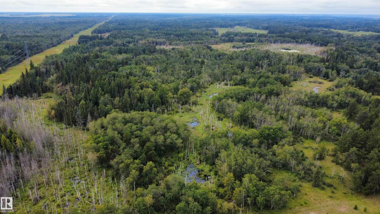 https://bt-photos.global.ssl.fastly.net/alberta/1280_boomver_1_E4503451-2.jpg