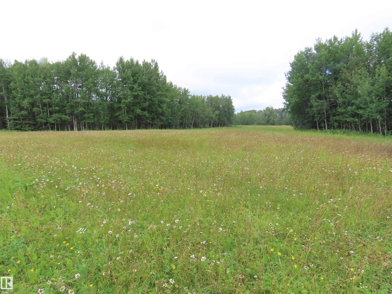 2217 Township 560 - Photo 1