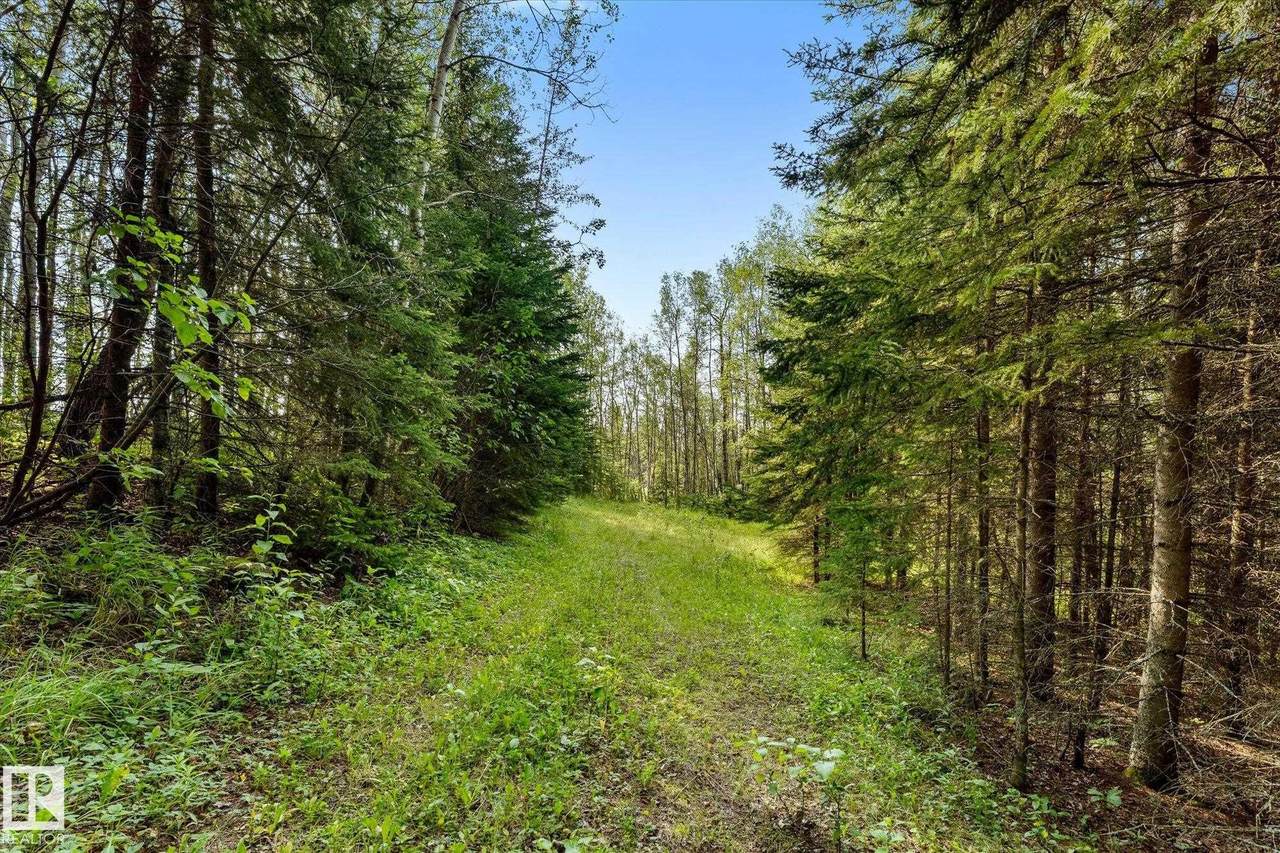 https://bt-photos.global.ssl.fastly.net/alberta/1280_boomver_1_E4504614-2.jpg