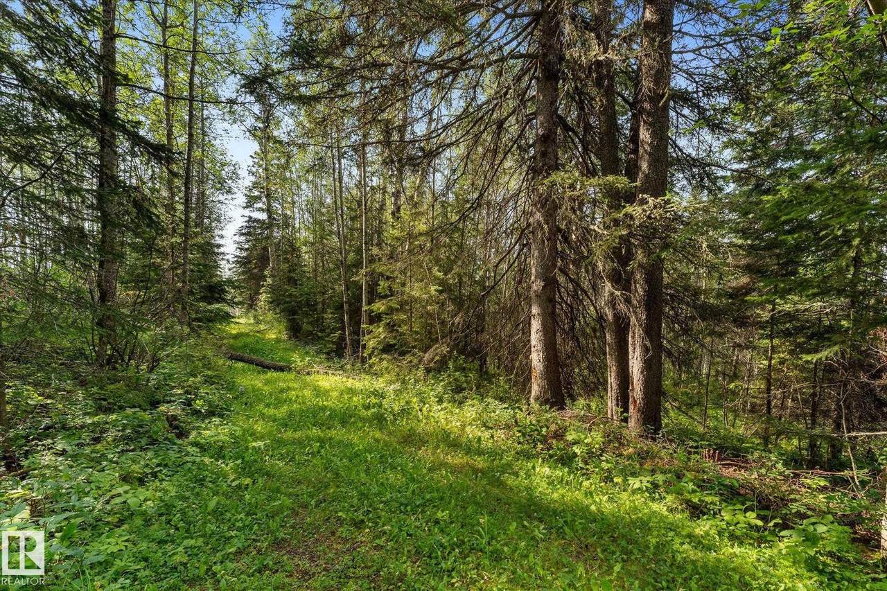 https://bt-photos.global.ssl.fastly.net/alberta/1280_boomver_1_E4504614-2.jpg