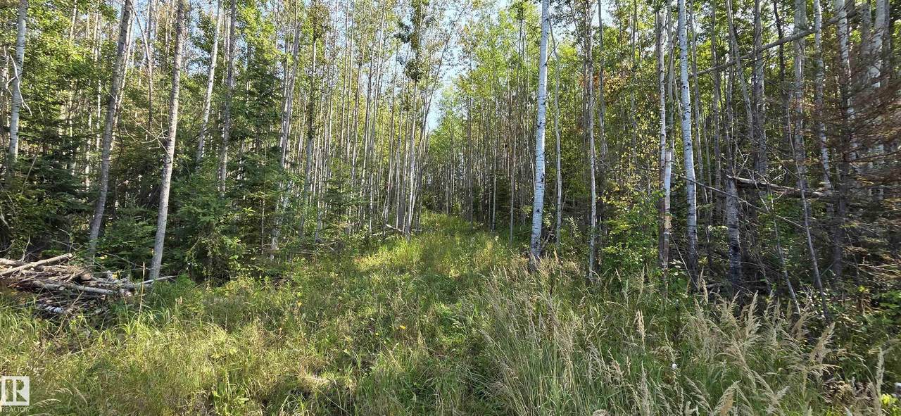 https://bt-photos.global.ssl.fastly.net/alberta/1280_boomver_1_E4505690-2.jpg